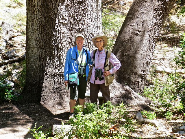 Kay and Babs, Ramsey Canyon