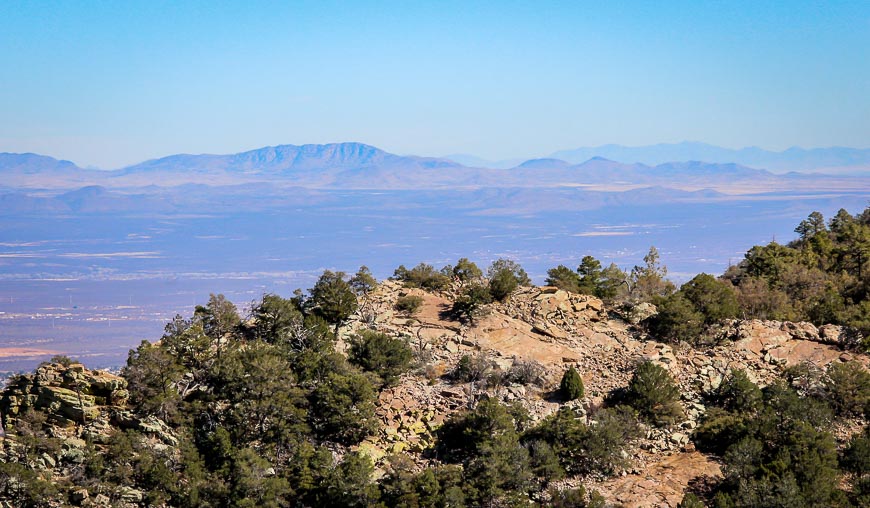 An Easy Hike in Ramsey Canyon in Southern Arizona