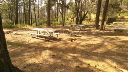 Reef Townsite Campground