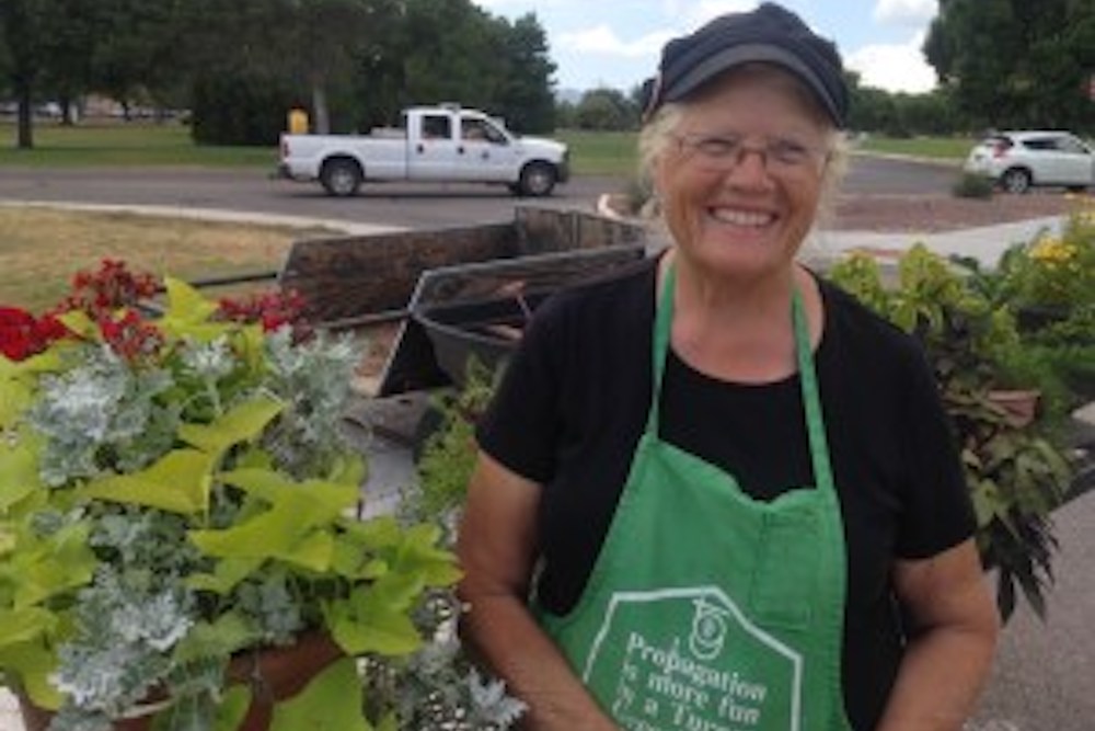 Sierra Vista Farmers Markets