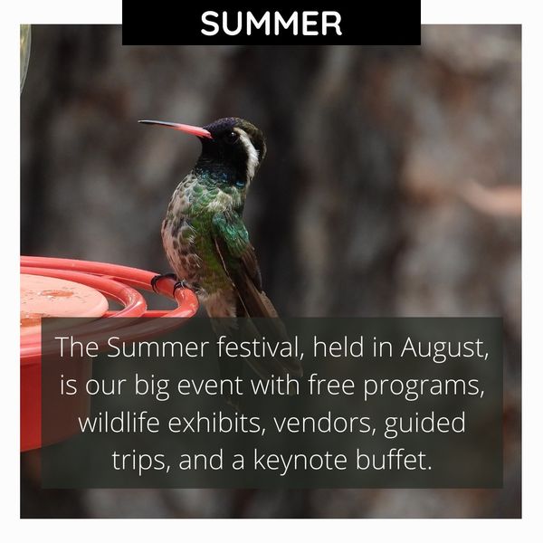 Southwest Wings Birding and Nature Summer Festival 2022!