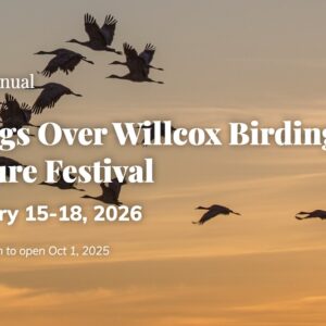 Wings Over Willcox 2026