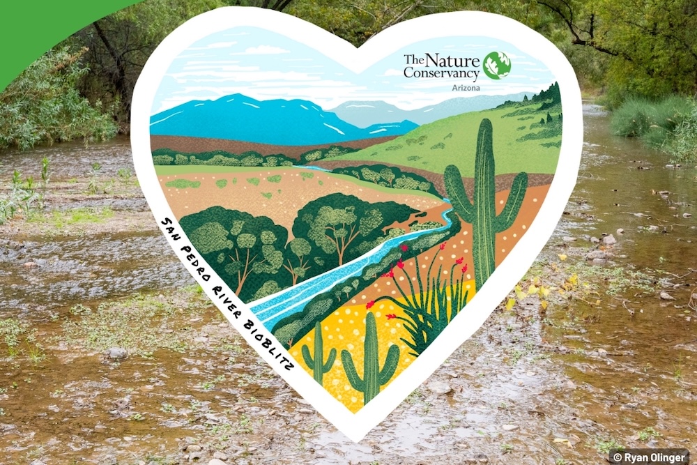 Nature Walk with Friends of the San Pedro